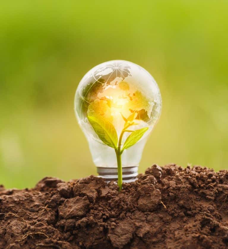 estrategias de innovación en empresas familiares